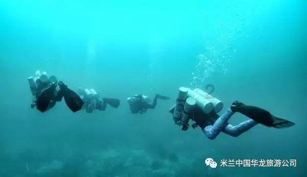 探索知识星球平台 | 这是狂赌之渊的第几季的第几集?专家分享精华