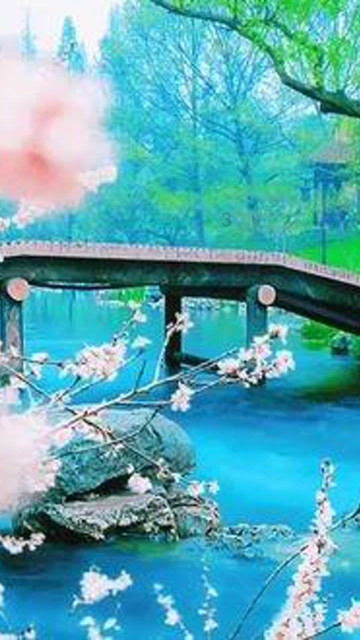 万词王